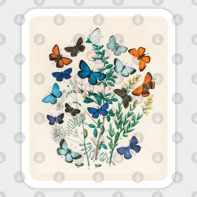 Butterflies and Moths Sticker by fleurdesignart